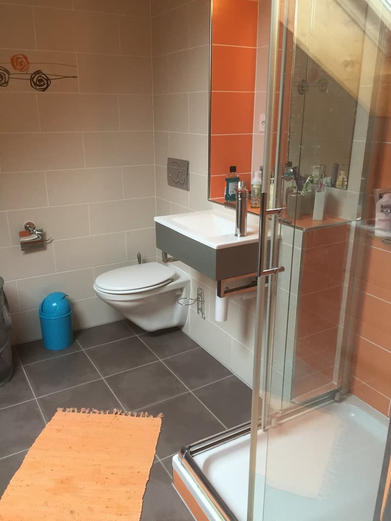 Maison familiale spacieuse de 6 pièces à Bernex (7)