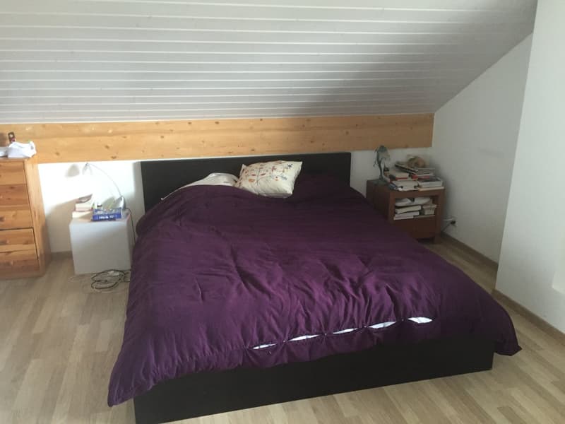 Maison familiale spacieuse de 6 pièces à Bernex (5)