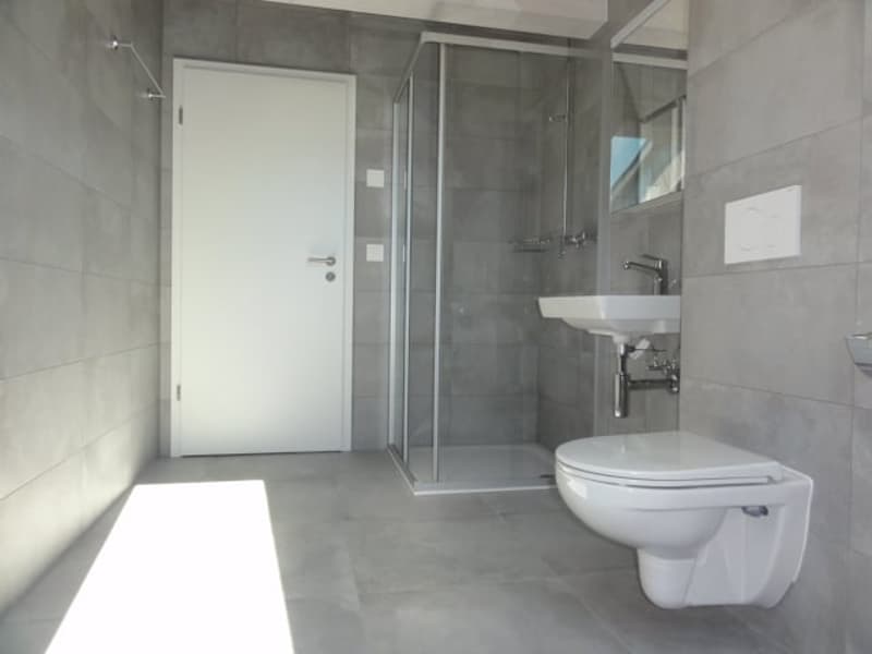 Attic in the attic of 5.5, Minergie, terrace of 33 m2 (5)