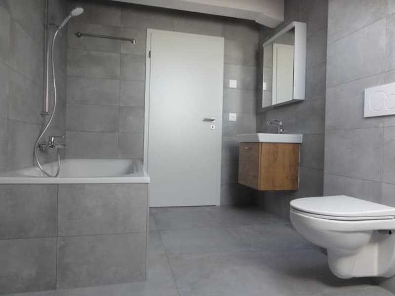 Attic in the attic of 5.5, Minergie, terrace of 33 m2 (6)