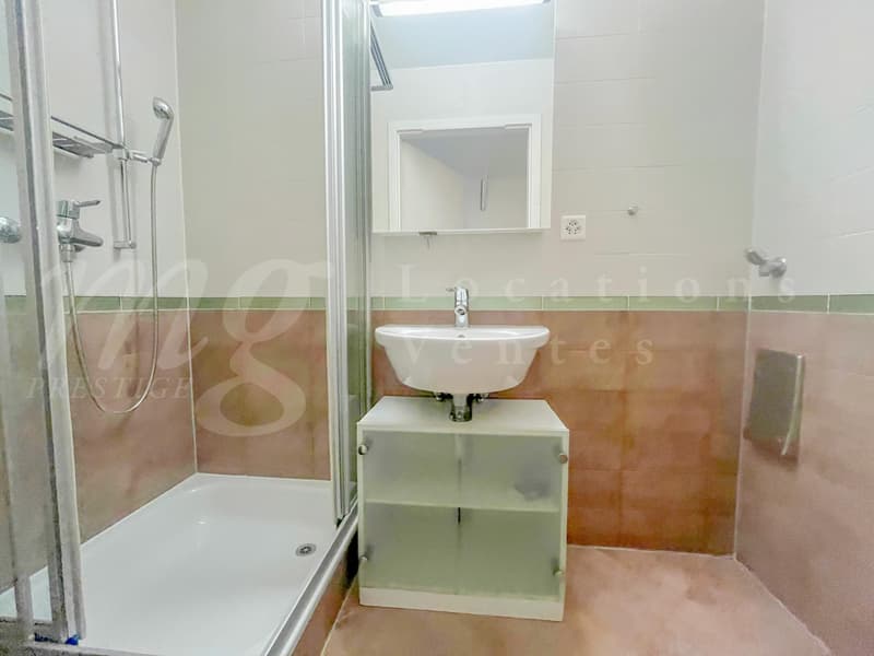SUPERB 7-ROOM APARTMENT - IN THE ATTIC - WITH LARGE PRIVATE GARDEN AROUND 340 M2 - 4 BEDROOMS (9)