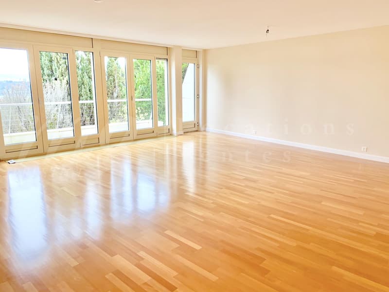 VUE PANORAMIQUE A 180 SUR LE LAC - MAISON MODERNE DE 400 m2 hab - PISCINE - ASCENSEUR (7)