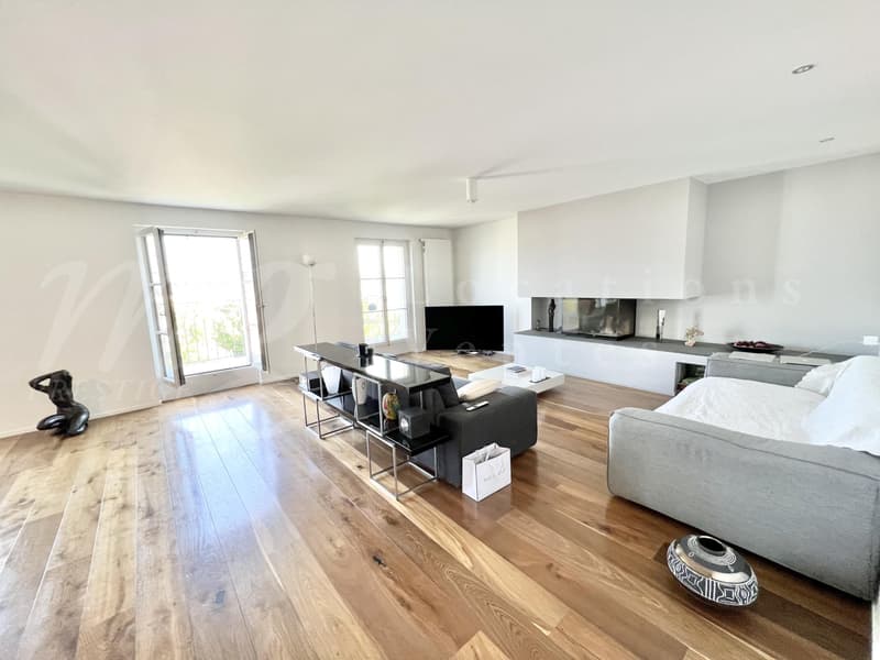 SUPERBE ATTIQUE DE 170 m2 AVEC VUE SUR LE DEGAGEE SUR LE LAC (2)