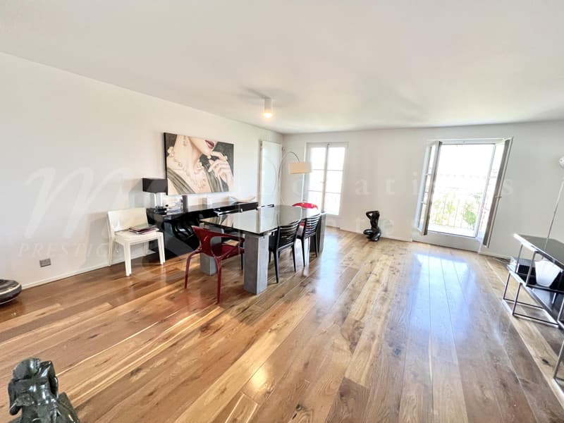 SUPERBE ATTIQUE DE 170 m2 AVEC VUE SUR LE DEGAGEE SUR LE LAC (3)