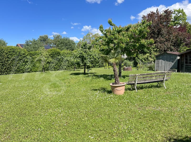 SUPERBA CASA INDIVIDUALE DI 250 m2 abitabile - INCANTEVOLE GIARDINO RECINTATO - ALBERATO - E CALMO DI 1100 m2 (2)