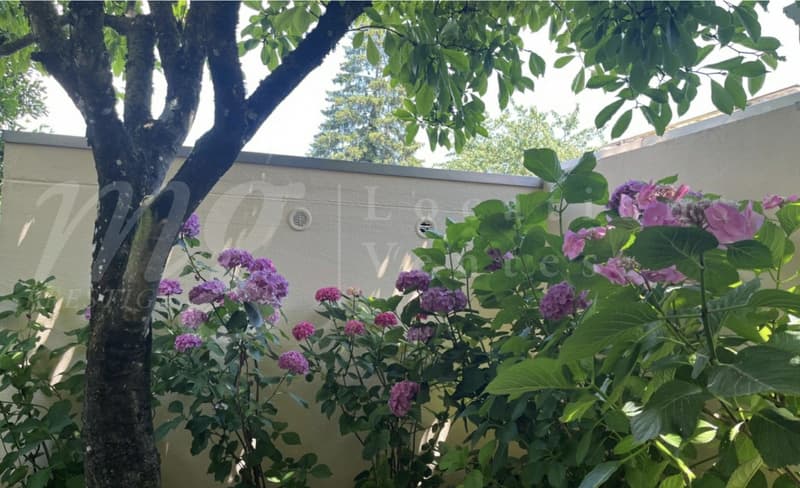 MOLTO BELLA CASA DI 7 LOCALI DI 170 m2 - CON GIARDINO A SUD E PARCO PRIVATO - 4 camere da letto (12)