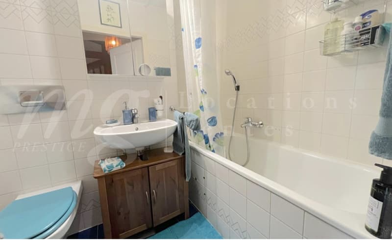 MOLTO BELLA CASA DI 7 LOCALI DI 170 m2 - CON GIARDINO A SUD E PARCO PRIVATO - 4 camere da letto (10)