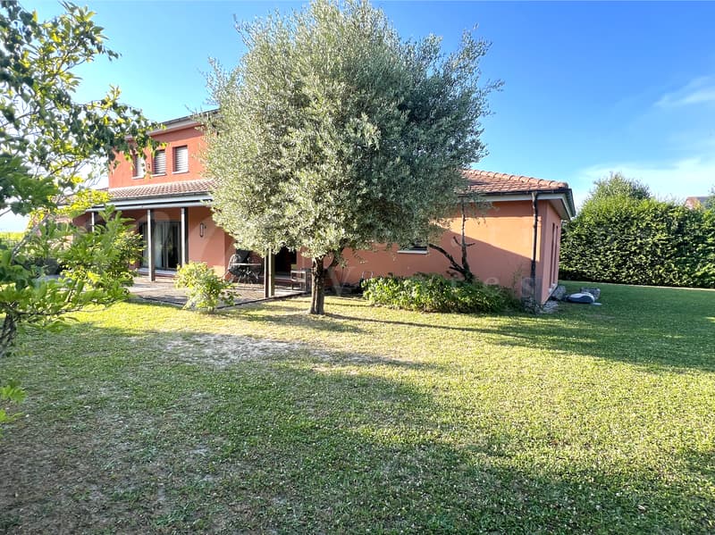 SPLENDIDA CASA INDIVIDUALE DI 250 m2 - INCANTEVOLE GIARDINO RECINTATO - ALBERATO - E CALMO DI 1100 m2 (1)