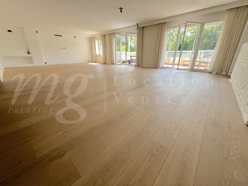 SUPERBE APPARTEMENT DE 7 PIECES DE 250 m2 AVEC LARGE TERRASSE -+ 3 BALCONS ET VUE DEGAGEE (6)