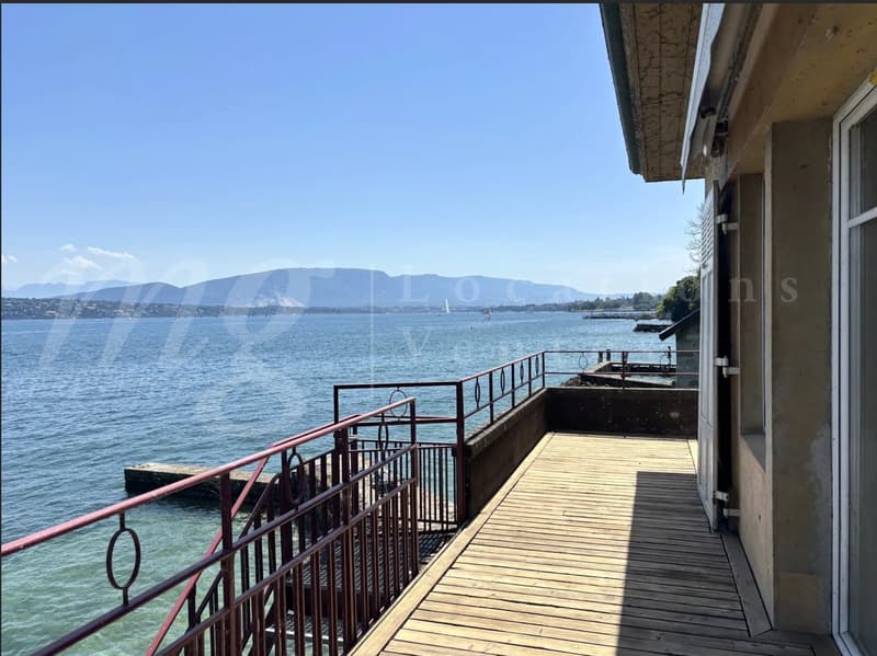 RARISSIME ! AU BORD DU LAC !! RAVISSANTE MAISON DE 5 PIECES AVEC LARGE TERRASSE - PONTON ET PLACE BATEAU (3)
