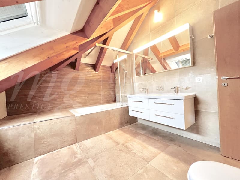 SUPERBES UND GROßES HAUS MIT 10 ZIMMERN - 350 m2 - HPE - GARTEN MIT 1100 m2 UND GROßEM AUßENJACUZZI (11)