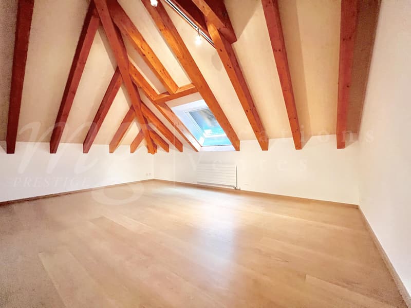 SUPERBES UND GROßES HAUS MIT 10 ZIMMERN - 350 m2 - HPE - GARTEN MIT 1100 m2 UND GROßEM AUßENJACUZZI (10)