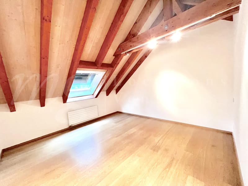 SUPERBES UND GROßES HAUS MIT 10 ZIMMERN - 350 m2 - HPE - GARTEN MIT 1100 m2 UND GROßEM AUßENJACUZZI (9)