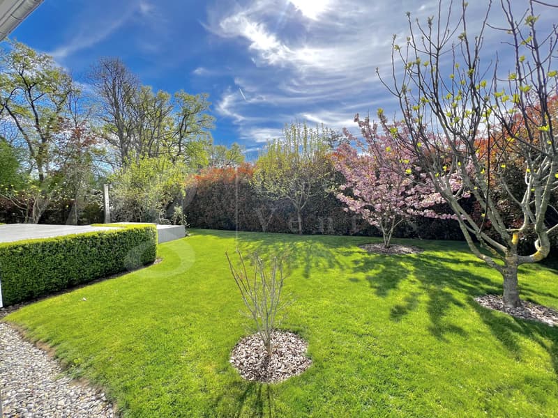 SUPERBA E GRANDE CASA DI 10 LOCALI - 350 m2 - HPE - GIARDINO DI 1100 m2 E GRANDE JACUZZI ESTERNO (2)