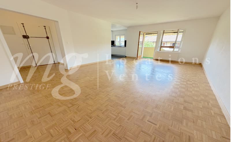 En Exclusivité !!! SUPERBE APPARTEMENT DE 152 m2 EN DUPLEX ATTTIQUE AVEC BELLE TERRASSE/JARDIN (2)