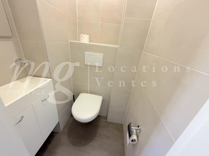 En Exclusivité !!! SUPERBE APPARTEMENT DE 152 m2 EN DUPLEX ATTTIQUE AVEC BELLE TERRASSE/JARDIN (5)