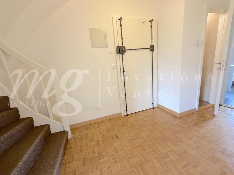 En Exclusivité !!! SUPERBE APPARTEMENT DE 152 m2 EN DUPLEX ATTTIQUE AVEC BELLE TERRASSE/JARDIN (4)