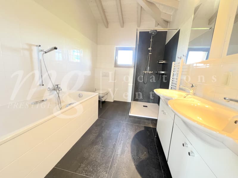 SUPERBE MAISON INDIVIDUELLE DE 250 m2 hab - RAVISSANT JARDIN CLOTUREE - ARBORISE - ET CALME DE 1100 m2 (9)