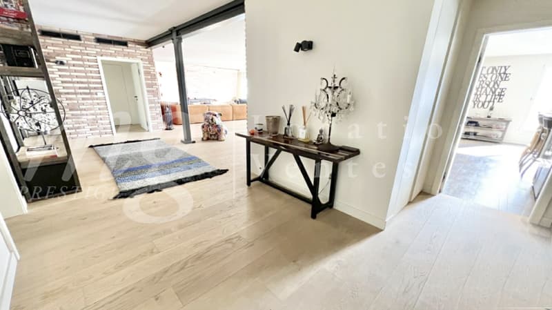 MAGNIFIQUE APPARTEMENT DE 7 PIECES DE 251 m2 PPE AVEC LARGE TERRASSE & VUE DEGAGEE VERDURE (10)