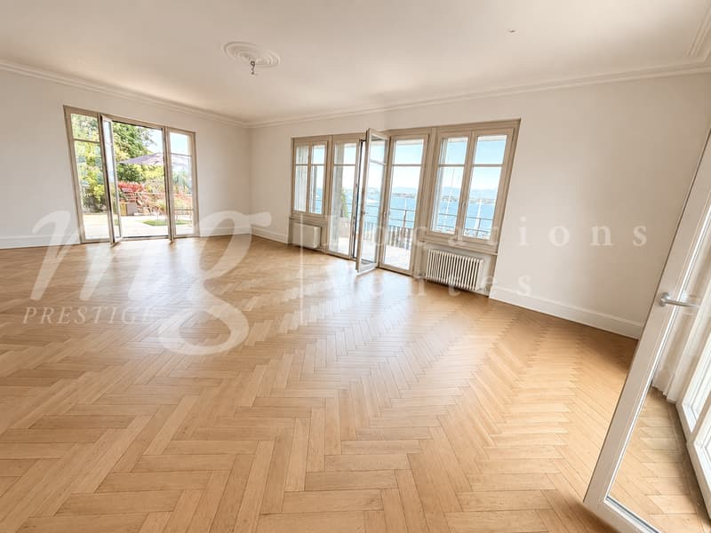 PIED DANS L'EAU !!!! TRES BELLE MAISON RENOVEE AVEC LARGE TERRASSE - VUE LAC, PONTON ET PLACE BATEAU (8)