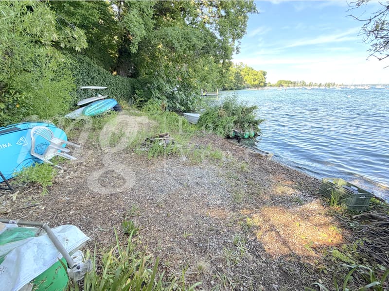 PIED DANS L'EAU !!!! TRES BELLE MAISON RENOVEE AVEC LARGE TERRASSE - VUE LAC, PONTON ET PLACE BATEAU (2)