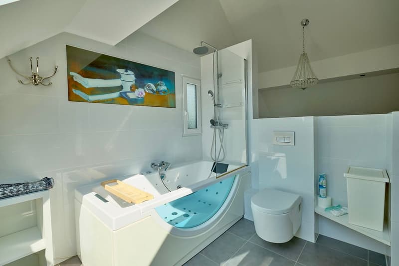 Beautiful Furnished  apartment in a renovated manor house (13)