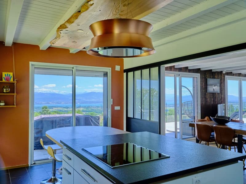 Villa individuelle avec vue spectaculaire sur le lac et le Mont Blanc (9)