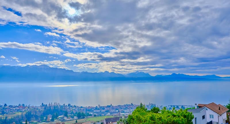 Attique Superbe Duplex Terrasse Vue Lac  Imprenable (5)