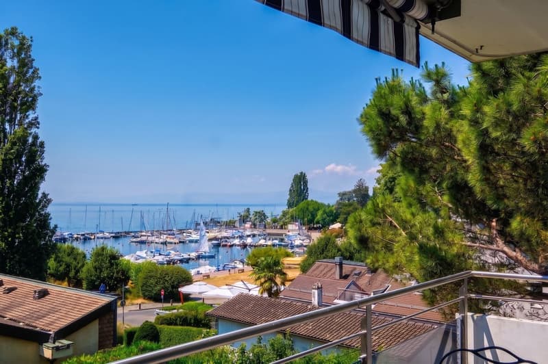 Sublime Attique vue sur le port de Pully (13)