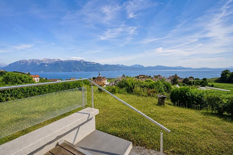 Architekten-Villa Mitten in den Weinbergen Seeblick Spektakulär (11)