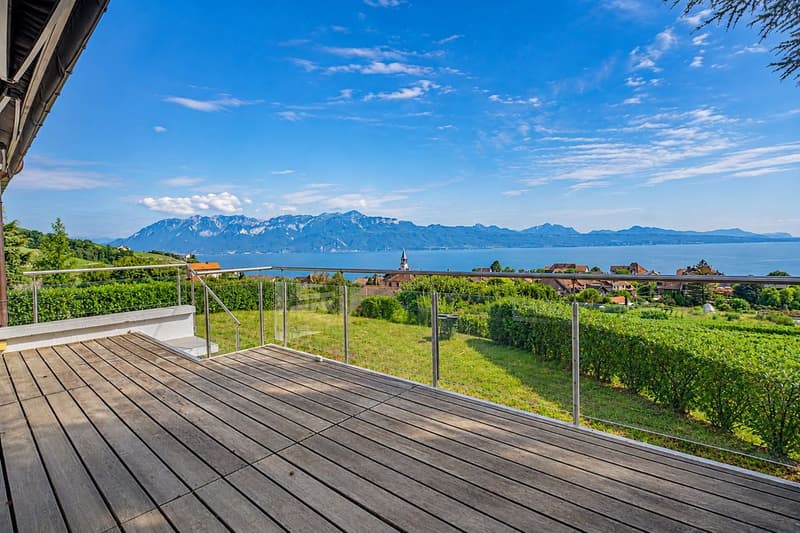 Architekten-Villa Mitten in den Weinbergen Seeblick Spektakulär (3)