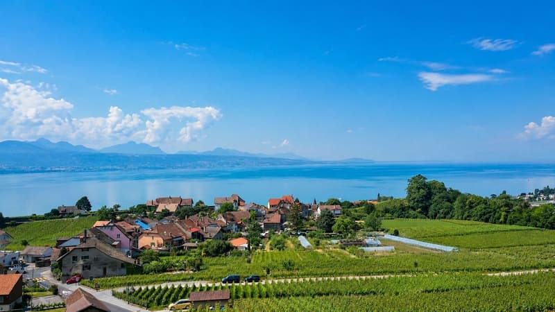 Architekten-Villa Mitten in den Weinbergen Seeblick Spektakulär (10)