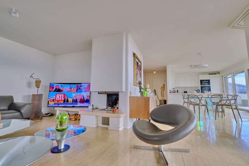 Superbe Duplex Terrasse Vue Lac Époustouflante (8)