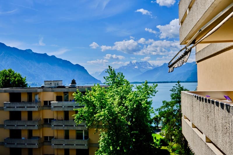 Spacieux Meublé balcon vue lac (4)