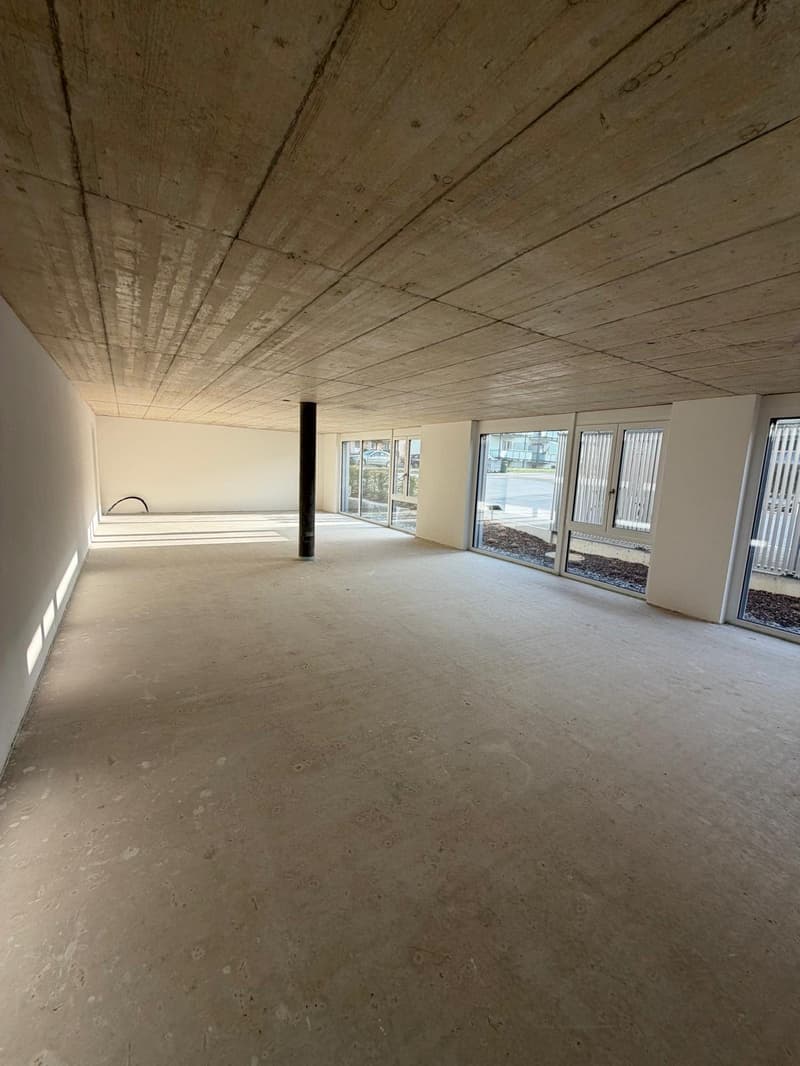 Empty room with windows and white walls and ceiling, concrete floor, black column