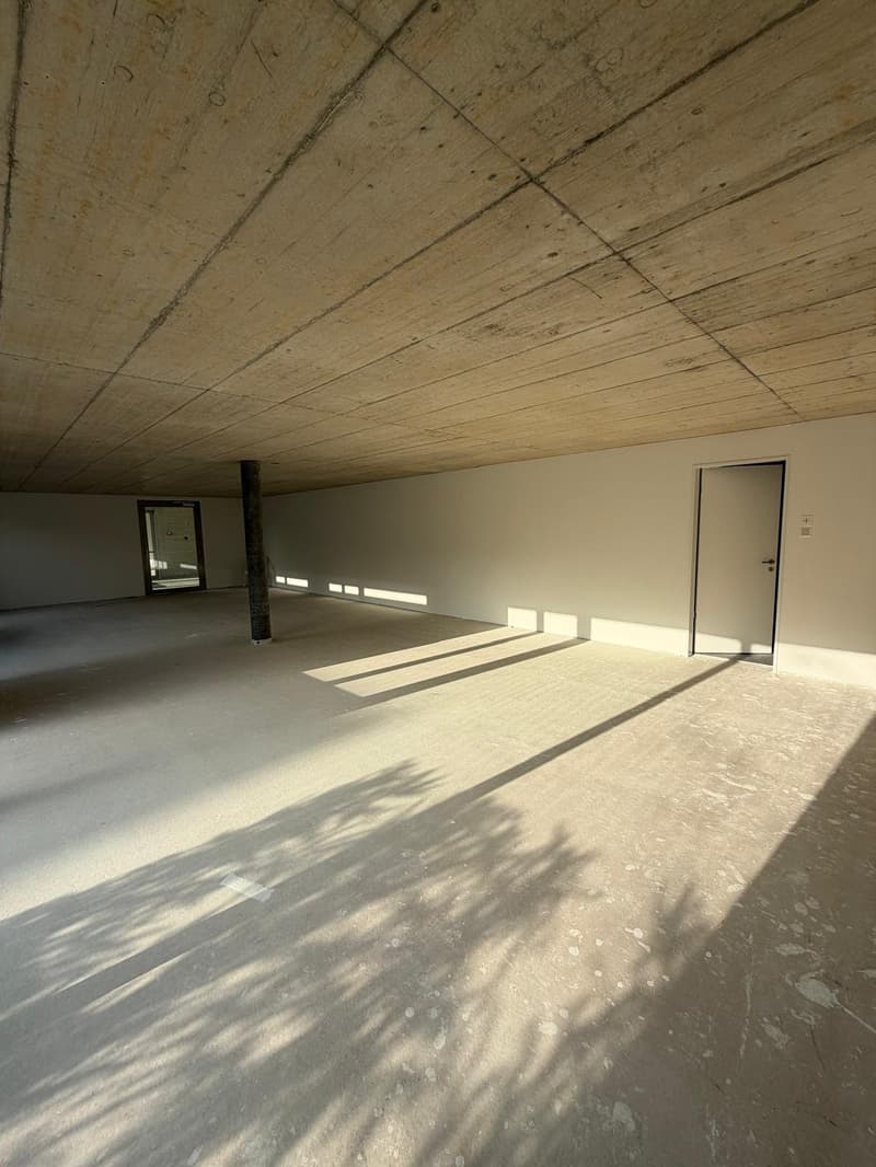 Empty room with two doors, raised ground floor, concrete ceiling, concrete floor, shadows