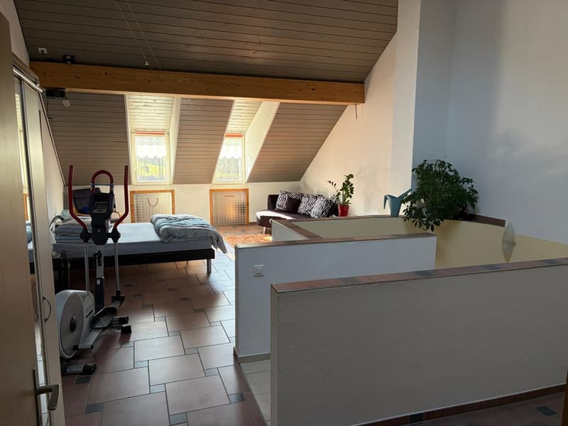 A room with a bed, exercise equipment, couch, and plants.