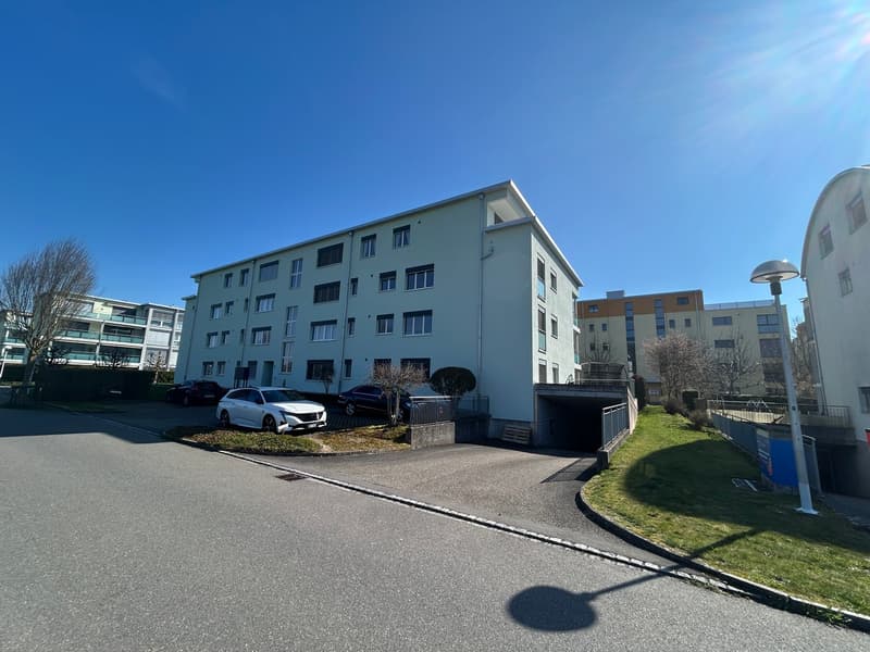 Appartamento in mansarda di 3,5 locali con terrazza di 93 m² e vista panoramica (2)