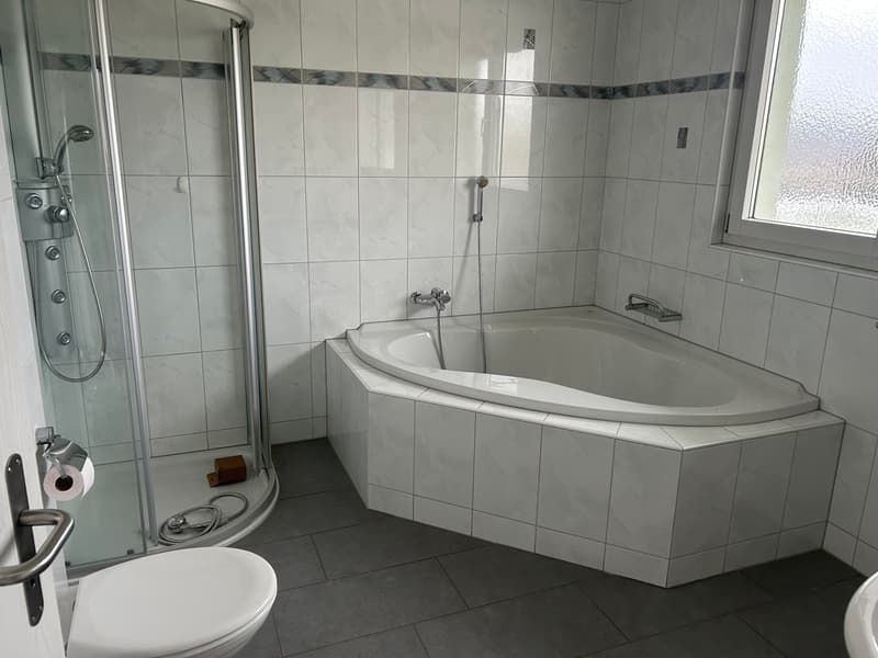 Appartamento in mansarda di 3,5 locali con terrazza di 93 m² e vista panoramica (5)