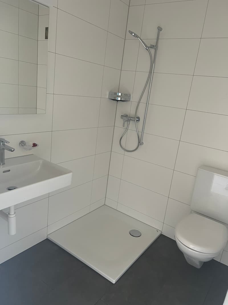 Frisch renovierte 3.5-Zimmer-Gartenwohnung an zentraler Lage (4)