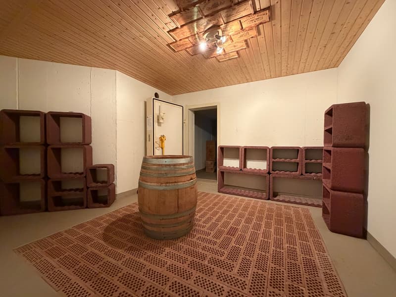 Grosszügiges 4½-Zimmer-Einfamilienhaus mit separater 1½-Zimmer-Einliegerwohnung (10)