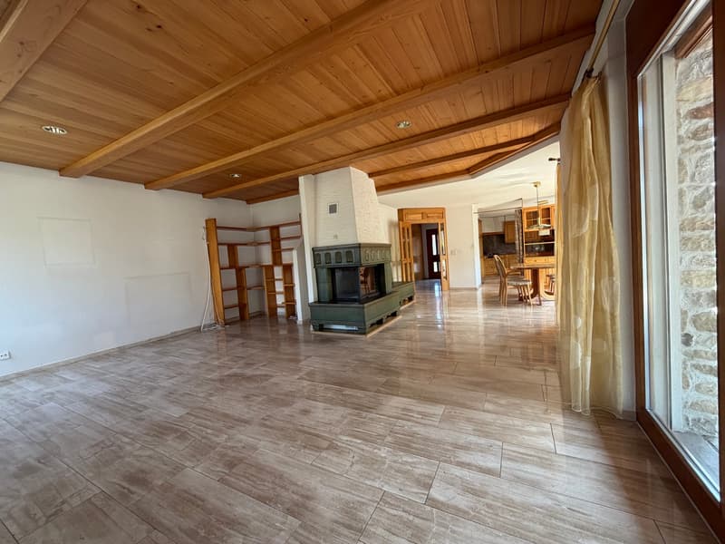 Grosszügiges 4½-Zimmer-Einfamilienhaus mit separater 1½-Zimmer-Einliegerwohnung (3)