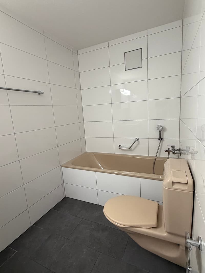 Frisch renovierte 3.5-Zimmer-Gartenwohnung an zentraler Lage (6)