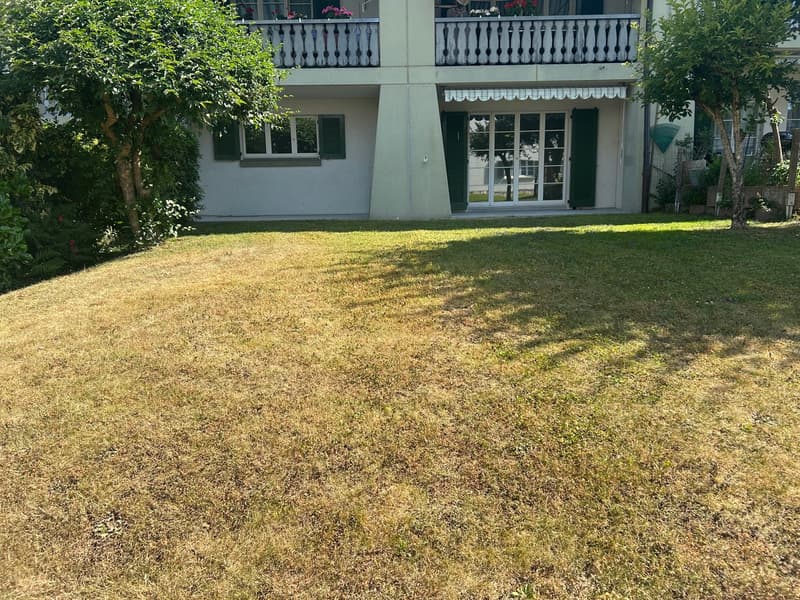 Frisch renovierte 3.5-Zimmer-Gartenwohnung an zentraler Lage (1)