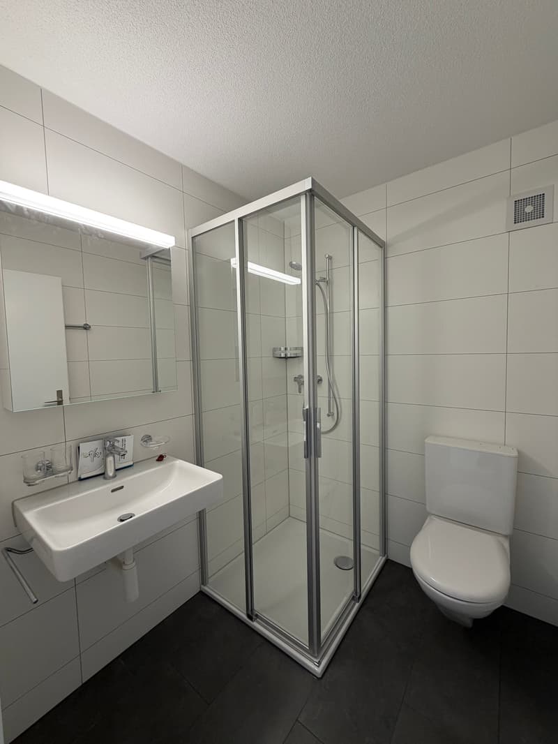 Frisch renovierte 3.5-Zimmer-Gartenwohnung an zentraler Lage (5)
