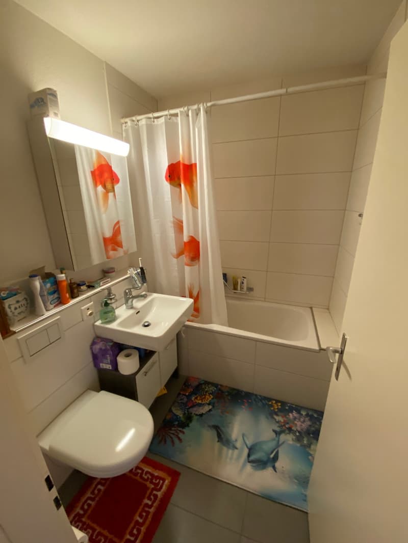 Helle und grosszügige 3.5-Zimmer-Wohnung im Hochparterre (6)