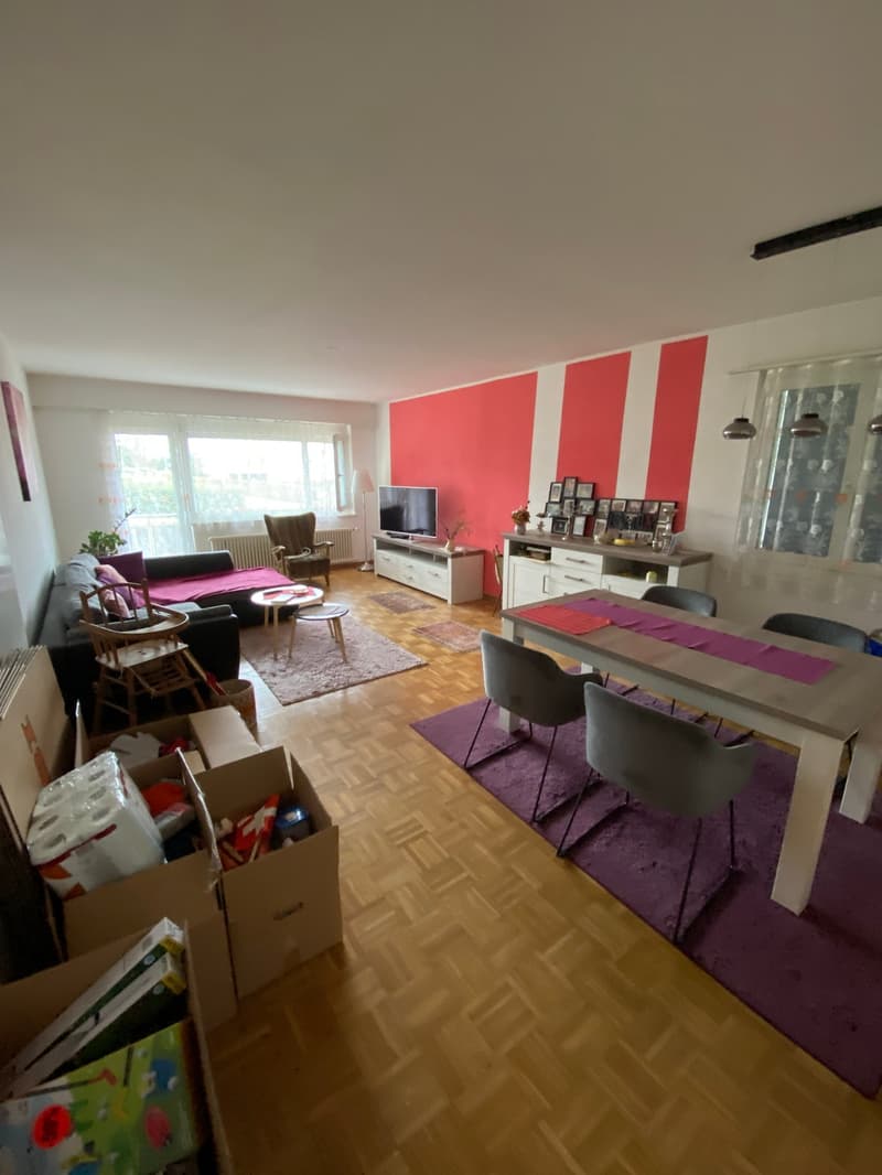 Helle und grosszügige 3.5-Zimmer-Wohnung im Hochparterre (3)