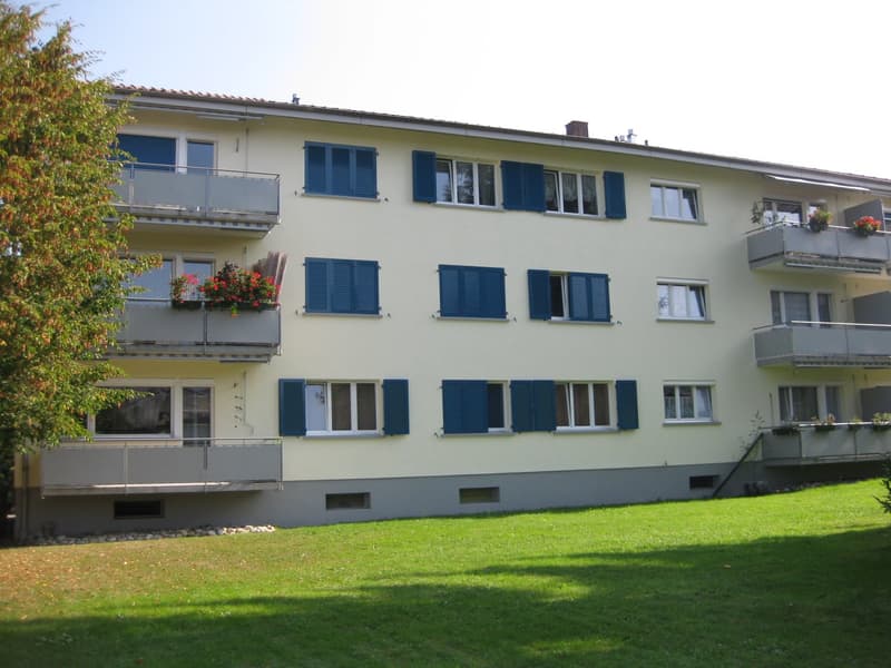 Helle und grosszügige 3.5-Zimmer-Wohnung im Hochparterre (1)