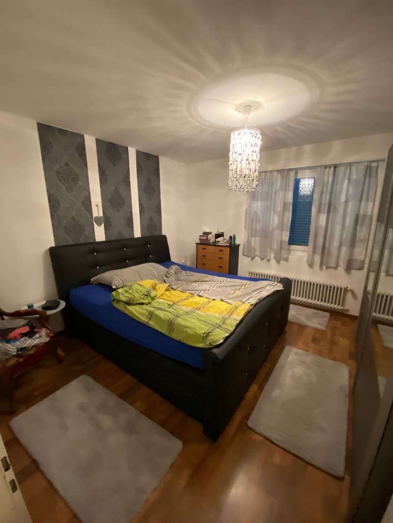 Helle und grosszügige 3.5-Zimmer-Wohnung im Hochparterre (5)
