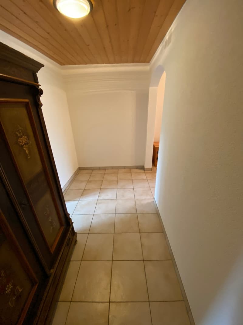 Grosszügige 2.5-Zimmer-Wohnung (4)